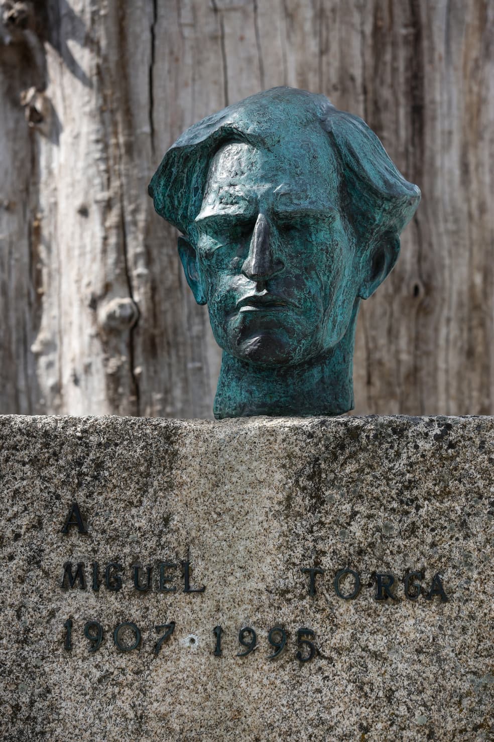 Fotografia do busto de Miguel Torga em São Martinho de Anta